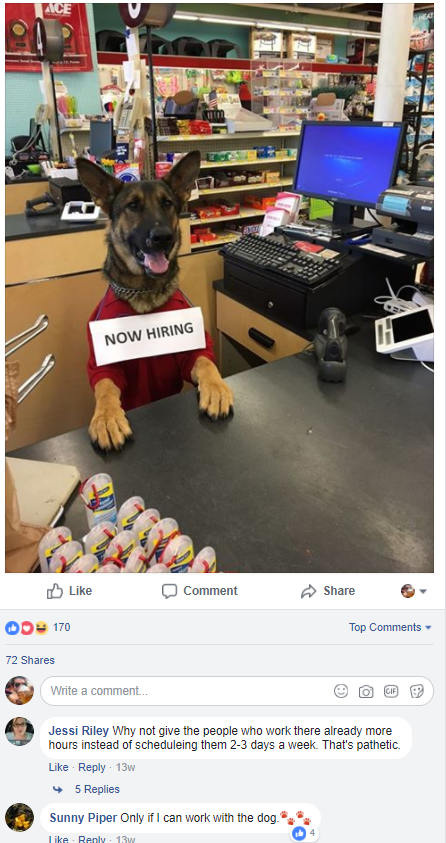 hardware store with hiring dog